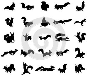 Squirrel silhouettes set