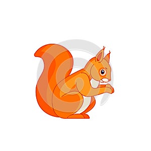 Squirrel, sitting side ways, holding a hazel nut in front paws and eating from it. Tail up. Cartoon character of a