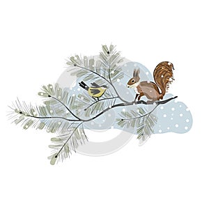 Squirrel and tomtit in japanese style are sitting on the pine tree. Yellow birds perched on branches
