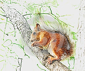 Squirrel on tree effect as picture
