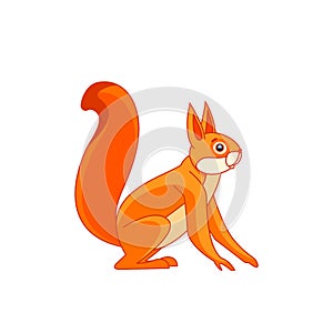 Squirrel watches curiously. Cartoon character of an rodent mammal animal. A wild forest creature with orange fur. Side