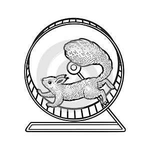 Squirrel in wheel sketch vector illustration