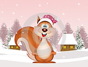 squirrel in winter celebrates Christmas