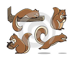 Squirrels on activities Vector Illustration Collection