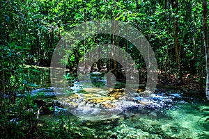 Sra Morakot also known as â€“ Emerald Pool Krabi, Emerald Pond, Crystal Pool, Crystal Lagoon