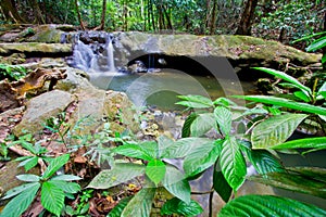 Sra Nang Manora Phangnga Nation forest waterfall park