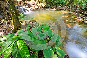 Sra Nang Manora Phangnga Nation forest waterfall park