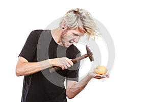 Sreaming man trying break piggy bank with hammer