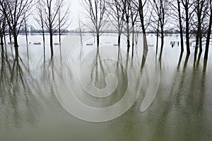 Sremska Mitrovica, Serbia 01.27.2023 Flooding on the Sava river. Deluge after rains and melting snow. Still muddy water on the
