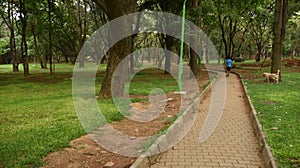 Sri Chamarajendra Park Cubbon Park, Baangalore, Karnataka