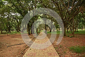 Sri Chamarajendra Park Cubbon Park, Bangalore, Karnataka