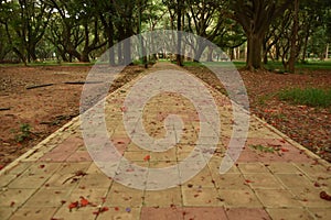 Sri Chamarajendra Park Cubbon Park, Bangalore, Karnataka