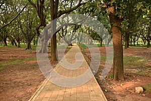 Sri Chamarajendra Park Cubbon Park, Bangalore, Karnataka