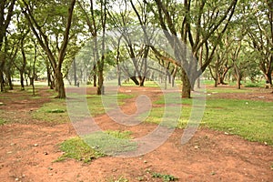 Sri Chamarajendra Park Cubbon Park, Bangalore, Karnataka