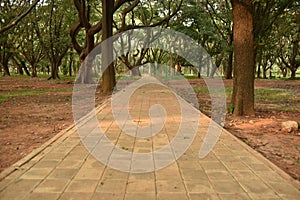 Sri Chamarajendra Park Cubbon Park, Bangalore, Karnataka