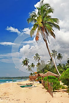 Sri lanka' beach