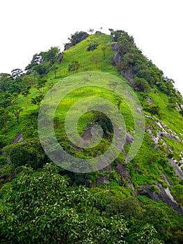 Sri Lanka Ceylon, Sigiriya, the Lion Rock