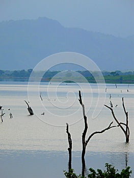 Sri Lanka Ceylon, Udawalawa Reservoir