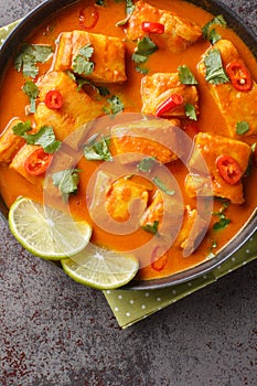 Sri Lanka coconut tomato fish curry close up on a plate. Vertical top view