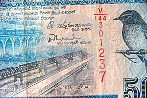 Sri Lanka currency close up. Macro view of 50 rupees bill. Detail of Srilankan banknote with bridge and flycatcher bird