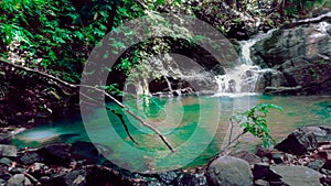 A beautiful pure water pond in a t reserve in Sri Lanka. photo