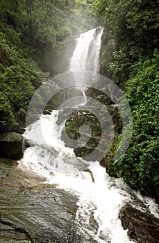 Sri Lanka jungle waterfall