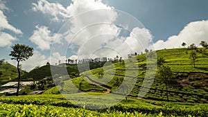 Sri Lanka Lipton seat tea plantation fields. Time-lapse while clouds rush by