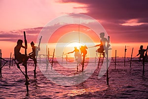 In Sri Lanka, a local fisherman is fishing in unique style in the evening