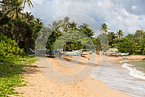 Sri Lanka paradise beach with white sand, Palm trees and a scenic sunset