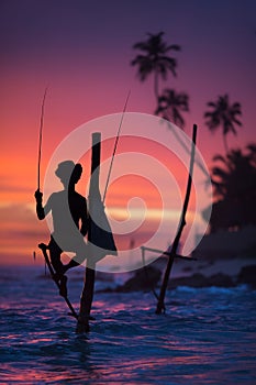 Sri Lanka`s Stilt Fisherman photo