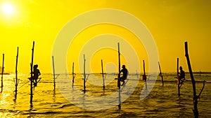 Sri Lanka`s traditional Fisherman on sanset. Fishing on silt is