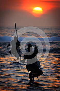 Sri Lanka: Stilt fishermen