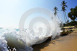 Sri Lanka Wild Beach