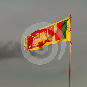 Sri Lankan Flag