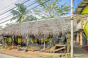 Sri Lankan Fruit Stand