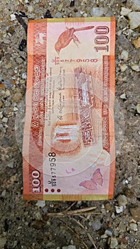 Sri Lankan Hundred 100 rupees