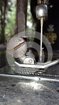 This sri lankan is old matchin