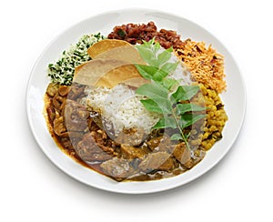 Sri lankan rice and curry dish