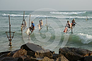 Sri Lankan traditional fisherman. Silt fishing style in Sri Lanka