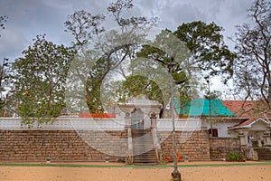 Sri Maha Bodhi tree at Anuradhapura - the world's oldest documen