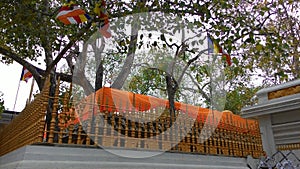 Sri Maha Bodhiya at Anuradapura