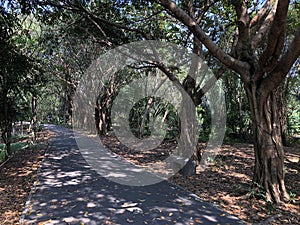 Sri Nakhon Khuean Khan Park And Botanical Garden