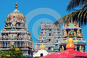 Sri Siva Subramaniya Swami Hindu Temple in Nadi