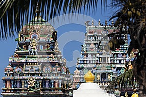 Sri Siva Subramaniya Swami Hindu Temple photo