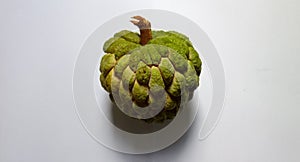 A sugar apple ('Srikaya') photo