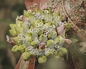 Srilanka wandaful kandyan flower boke