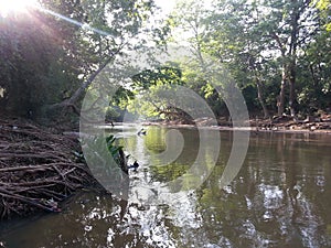 Srilankan beautiful river in Kabilitta Dewalaya Kubukkan Oya