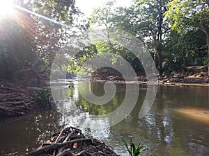 Srilankan beautiful river in Kabilitta Dewalaya Kubukkan Oya