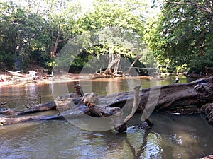 Srilankan beautiful river in Kabilitta Dewalaya Kubukkan oya