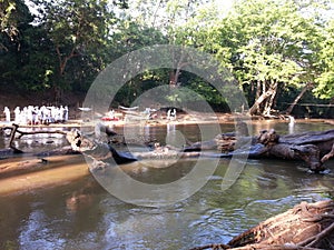 Srilankan beautiful river in Kabilitta Dewalaya Kubukkan Oya